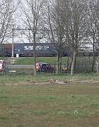 IMG_8807