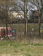 IMG_8826