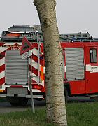 IMG_8910
