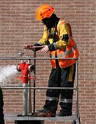 IMG_8459