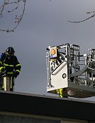 IMG_8234