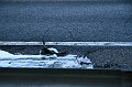 IMG_3672