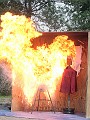 IMG_0248