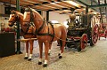 IMG_308