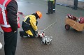 IMG_1241
