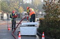 IMG_1261