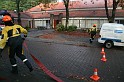 IMG_0241