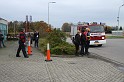 IMG_0545