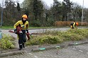 IMG_0569