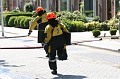 IMG_7046