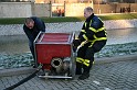 IMG_1396