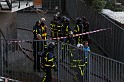 IMG_4528