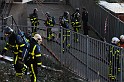 IMG_4531