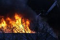 IMG_4581