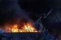 IMG_4584