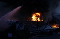 IMG_4589