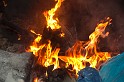 IMG_7487
