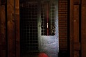 IMG_7259
