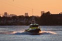 IMG_6246