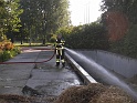 IMGP3089