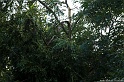 IMG_0156_website