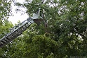 IMG_0172_website