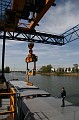 IMG_0818
